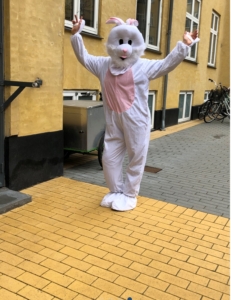 Traditioner